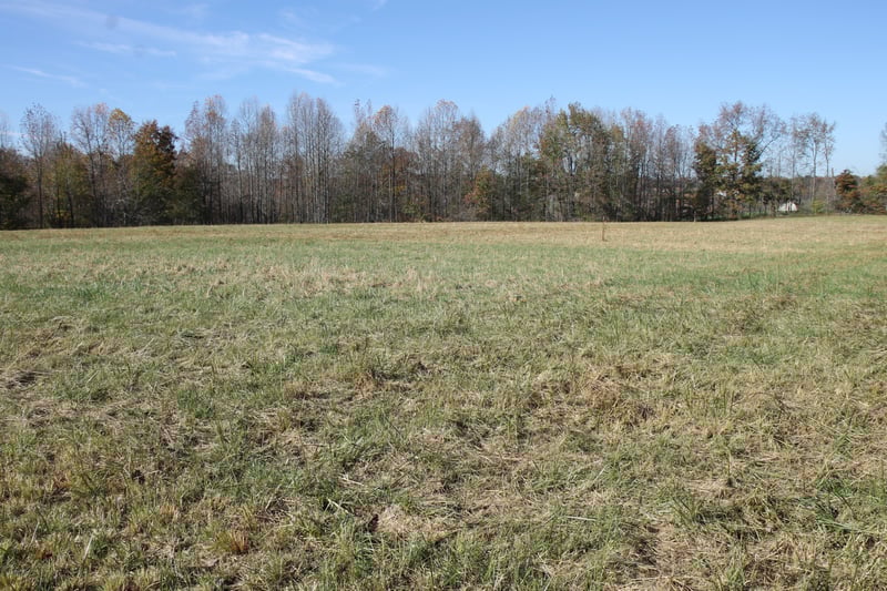 221 Whitson Rd, Bethpage, TN 37022