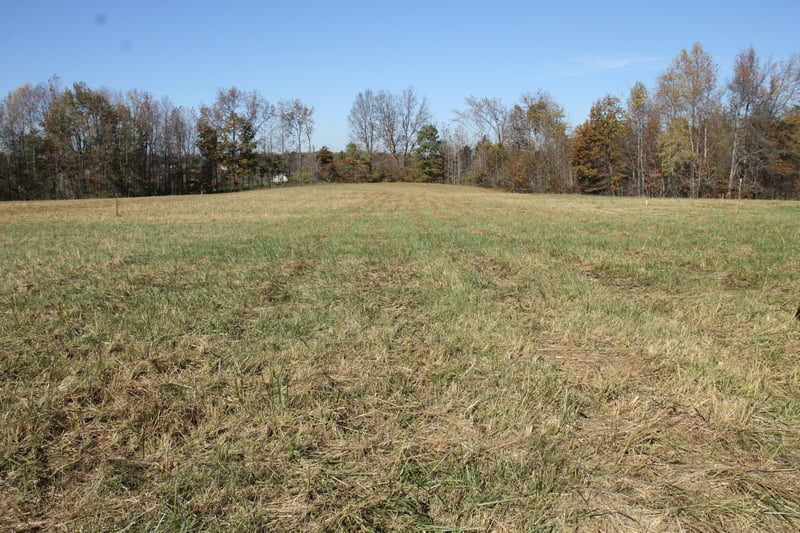 221 Whitson Rd, Bethpage, TN 37022