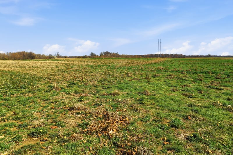 1 Highway 161 , Springfield, TN 37172