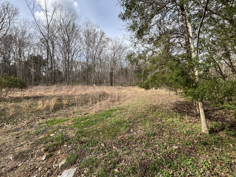 2200 Rock Springs Rd, Watertown, TN 37184
