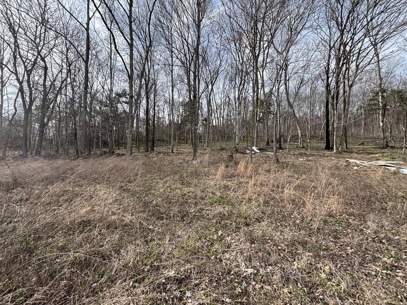 2200 Rock Springs Rd, Watertown, TN 37184