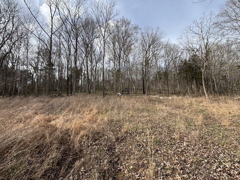 2200 Rock Springs Rd, Watertown, TN 37184