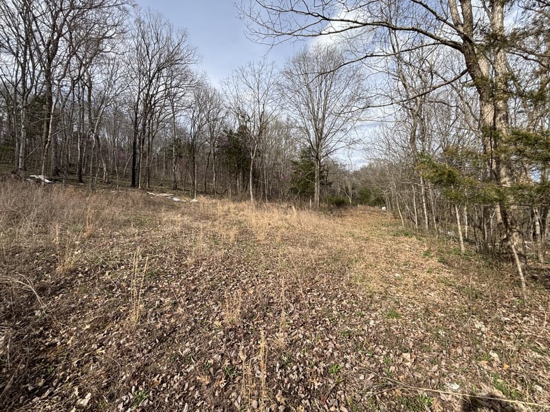 2200 Rock Springs Rd, Watertown, TN 37184