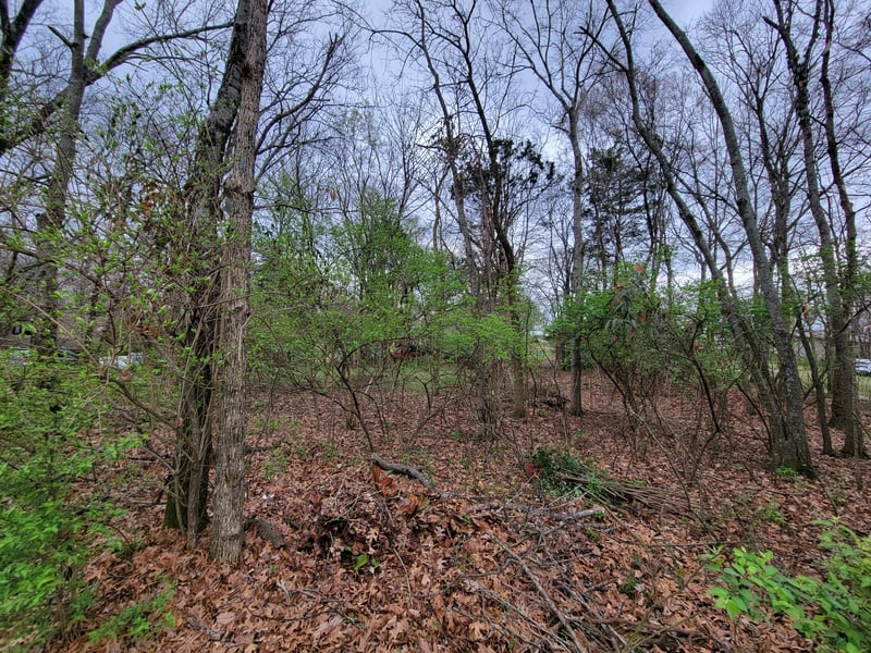 0 Long View Dr, Mount Juliet, TN 37122