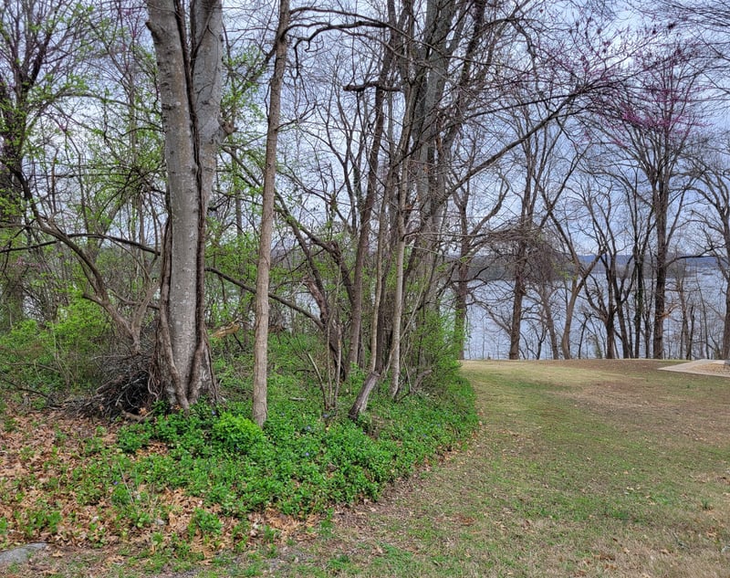 0 Long View Dr, Mount Juliet, TN 37122