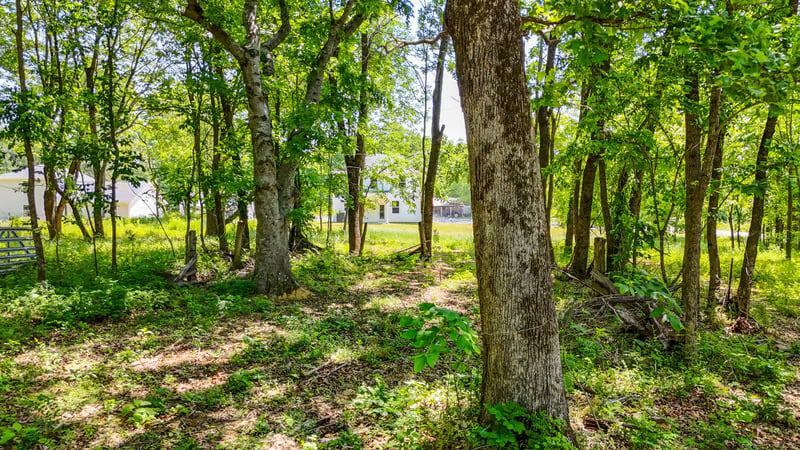 101 Cherry Blossom Way, Dickson, TN 37055
