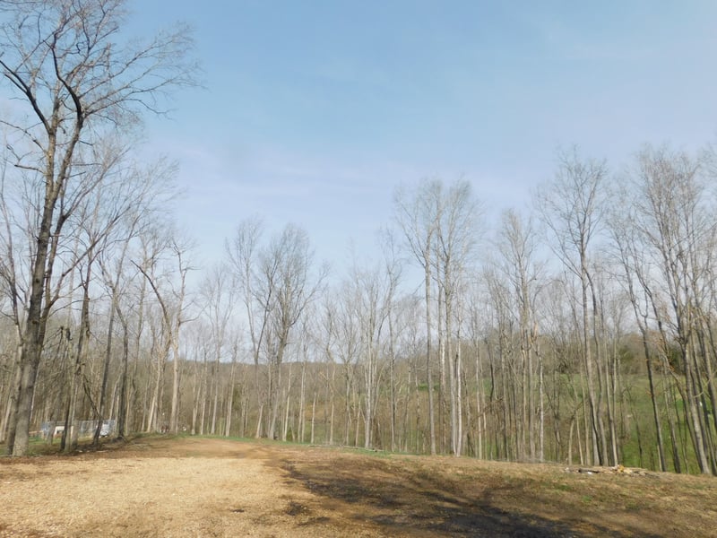 150 W John Davis Rd, Westmoreland, TN 37186