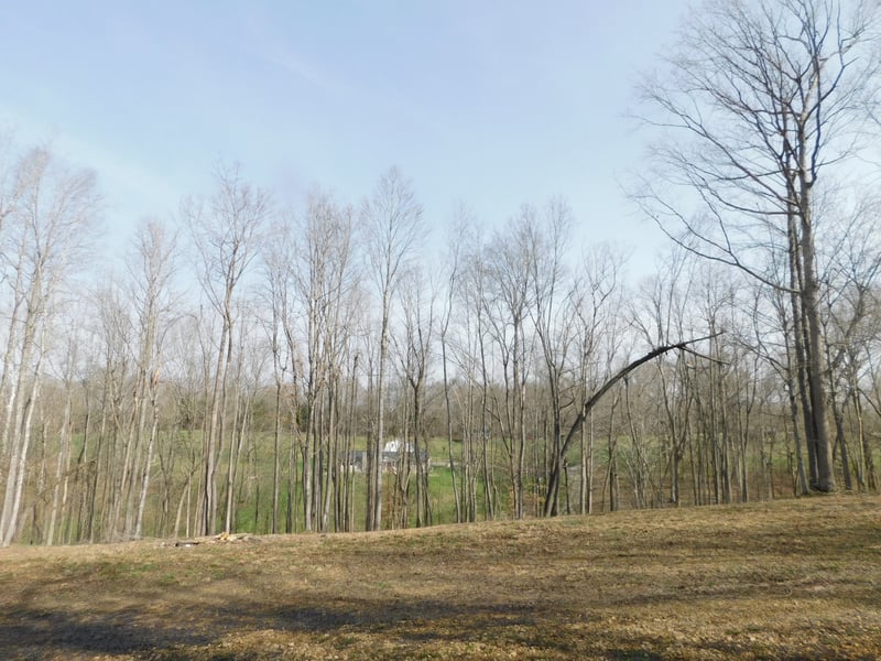 150 W John Davis Rd, Westmoreland, TN 37186