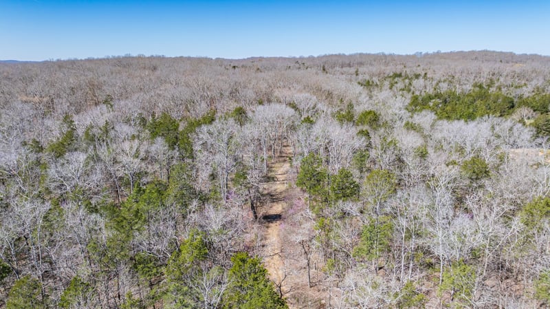 3562 Highway 431 , Columbia, TN 38401