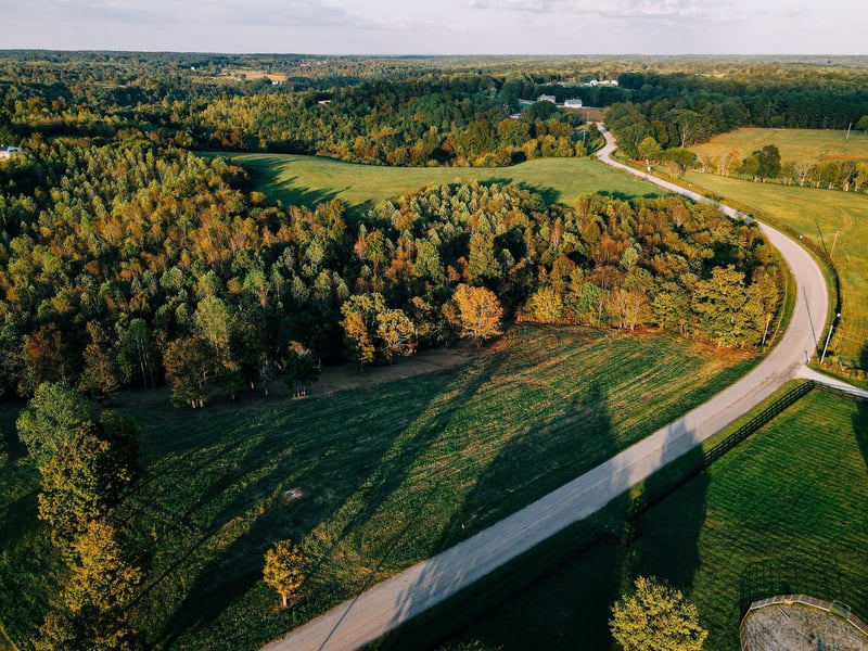 7810 W Lick Creek Rd, Primm Springs, TN 38476