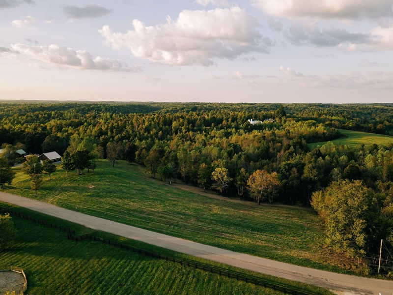 7810 W Lick Creek Rd, Primm Springs, TN 38476