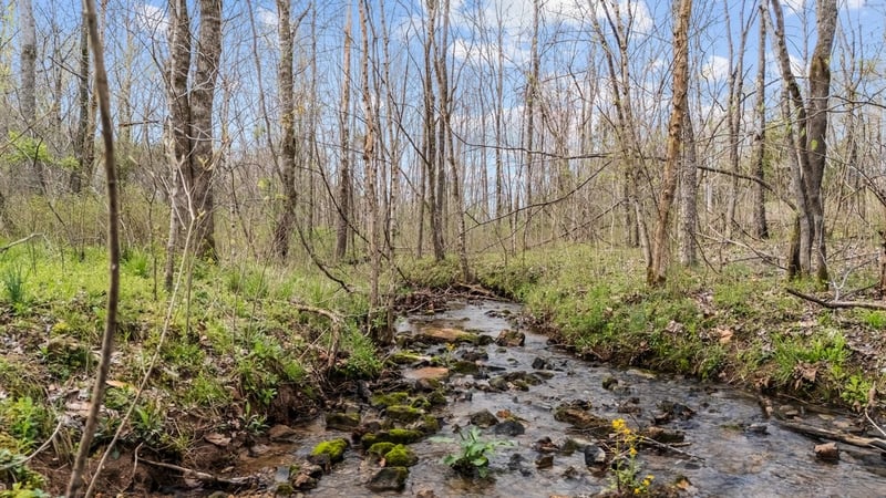 6455 Highway 48 , Cumberland Furnace, TN 37051