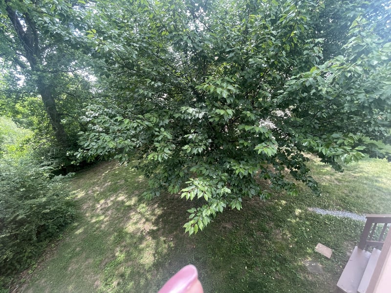 104 Woodfield Ct, Nashville, TN 37211