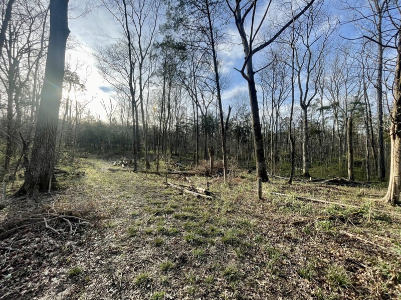 9290 Christiana Fosterville Rd, Christiana, TN 37037