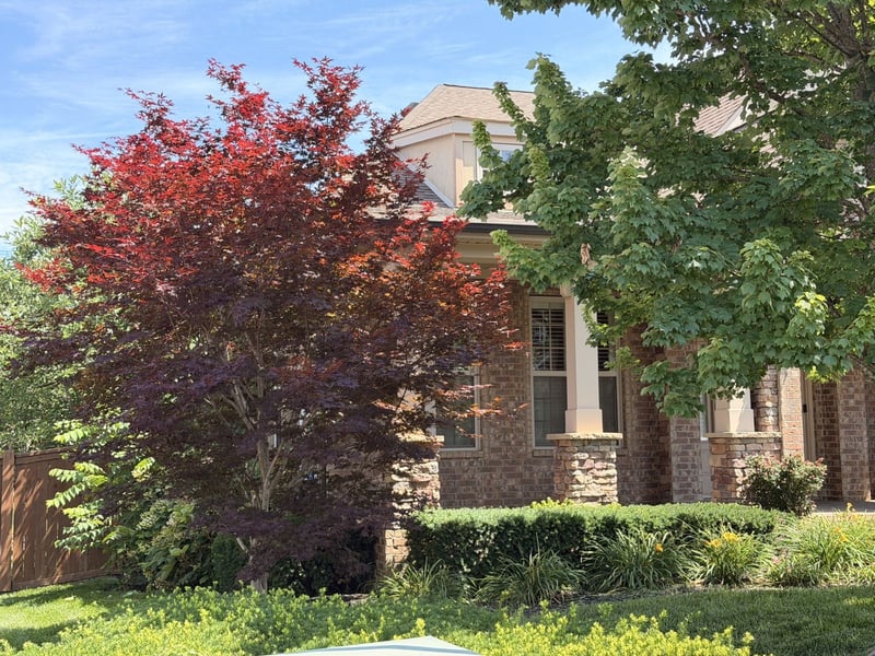 409 Valley Spring Dr, Mount Juliet, TN 37122