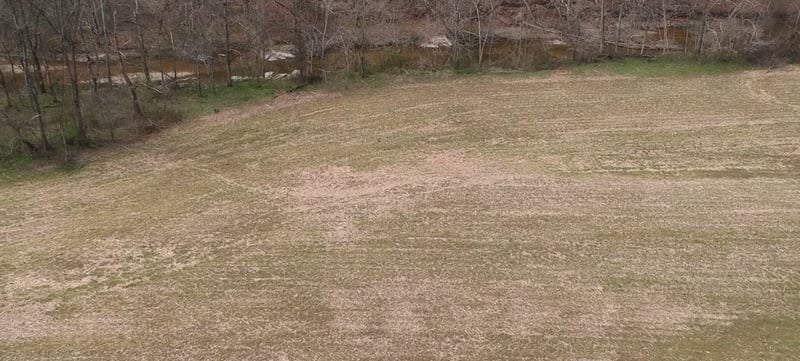 Dutch Creek Rd Lot 1, Westmoreland, TN 37186