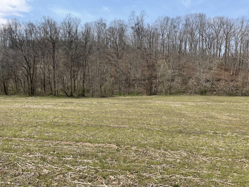 Dutch Creek Rd Lot 1, Westmoreland, TN 37186