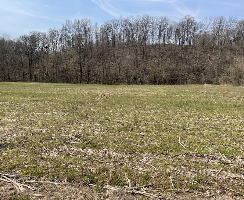 Dutch Creek Rd, Westmoreland, TN 37186
