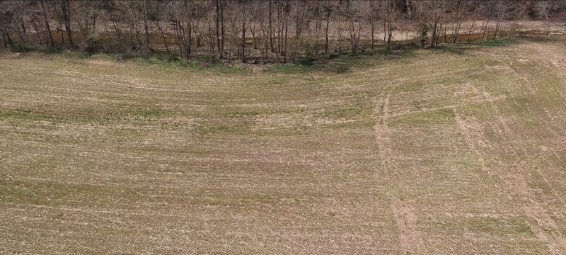 Dutch Creek Rd, Westmoreland, TN 37186