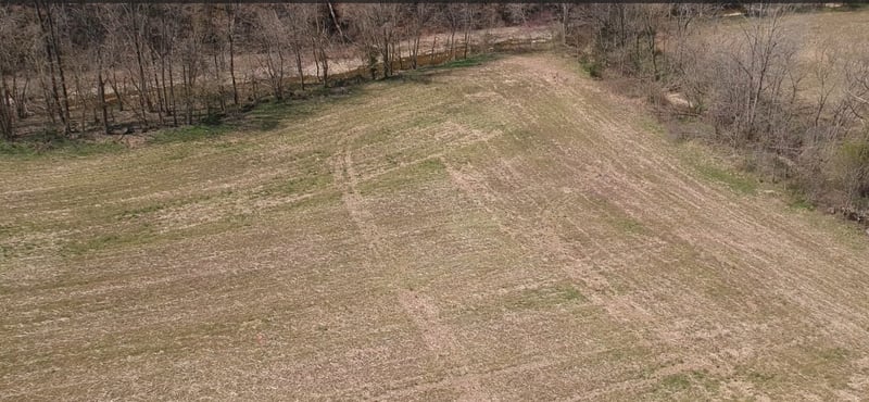 Dutch Creek Rd, Westmoreland, TN 37186