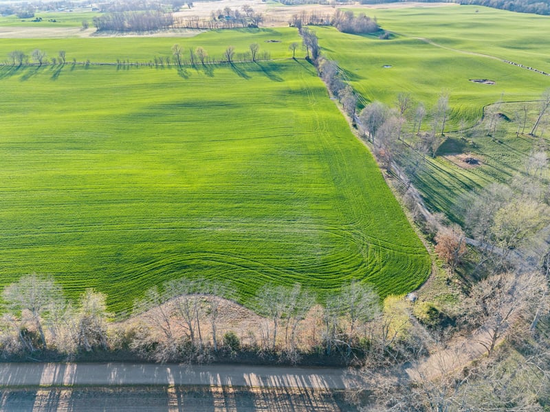 Wayman Dunn Rd, Springfield, TN 37172