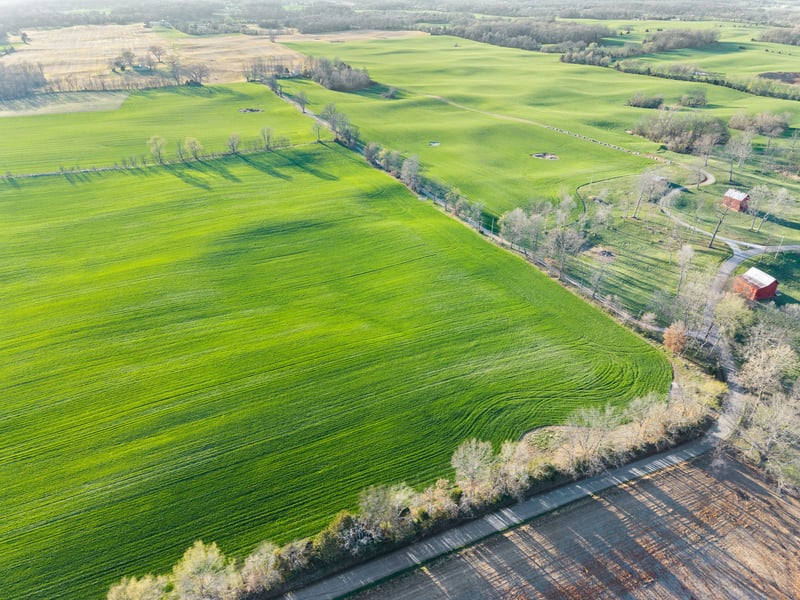 Wayman Dunn Rd, Springfield, TN 37172