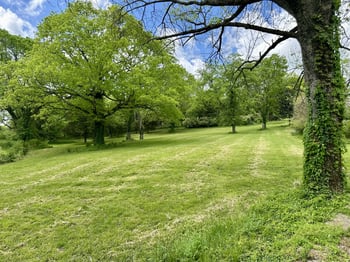 6001 Hillsboro Pike, Nashville, TN 37215
