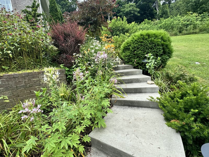 782 Saussy Pl, Nashville, TN 37205