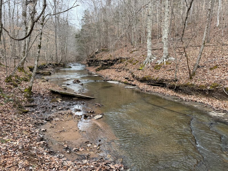 Collier Bend Rd, Charlotte, TN 37036