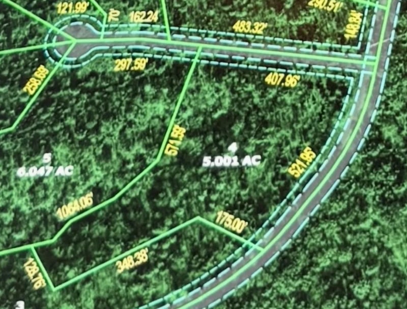 321 Ridgetop Rd, Hampshire, TN 38461