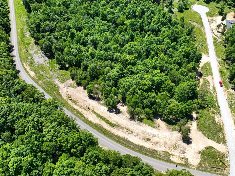 321 Ridgetop Rd, Hampshire, TN 38461