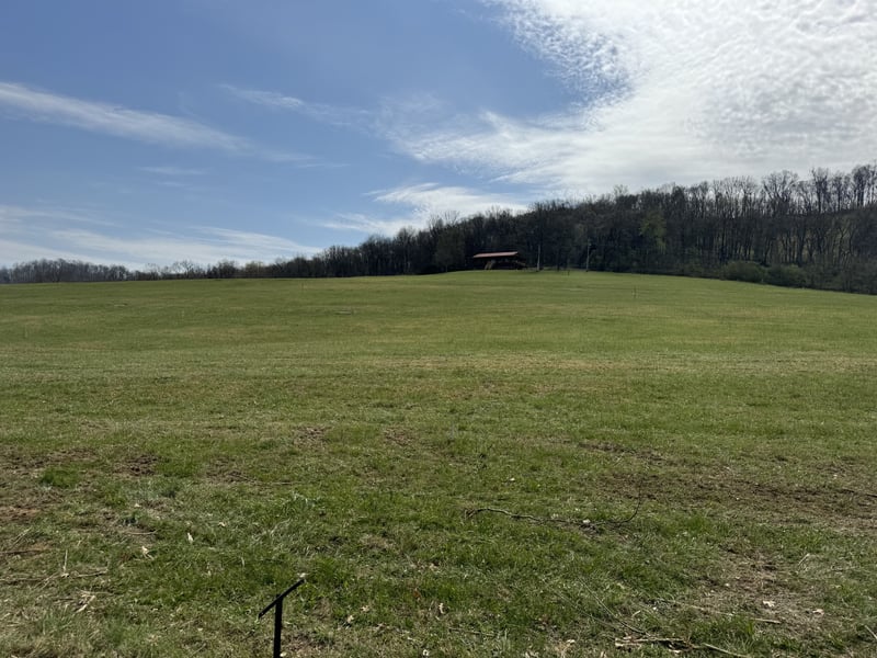 Plunkett Creek Rd, Gordonsville, TN 38563
