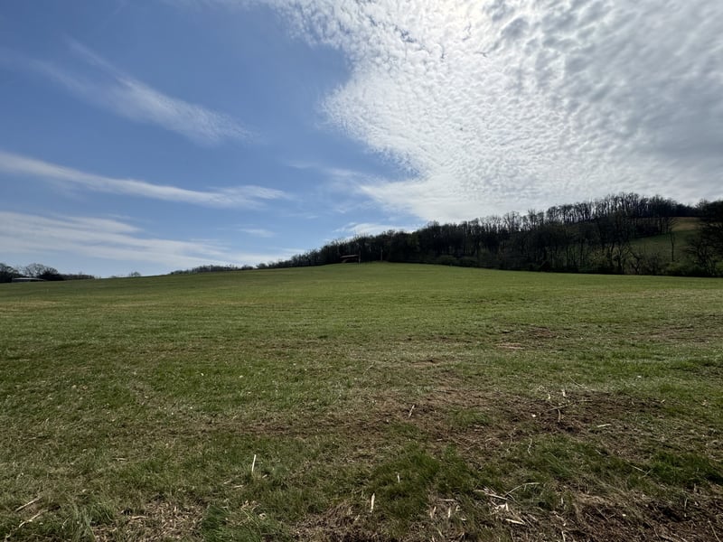 Plunkett Creek Rd, Gordonsville, TN 38563