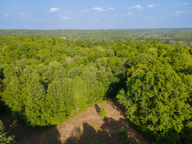 1070 Leatherwood Rd, White Bluff, TN 37187