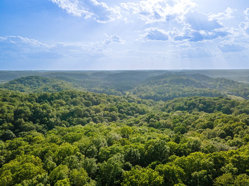 1070 Leatherwood Rd, White Bluff, TN 37187