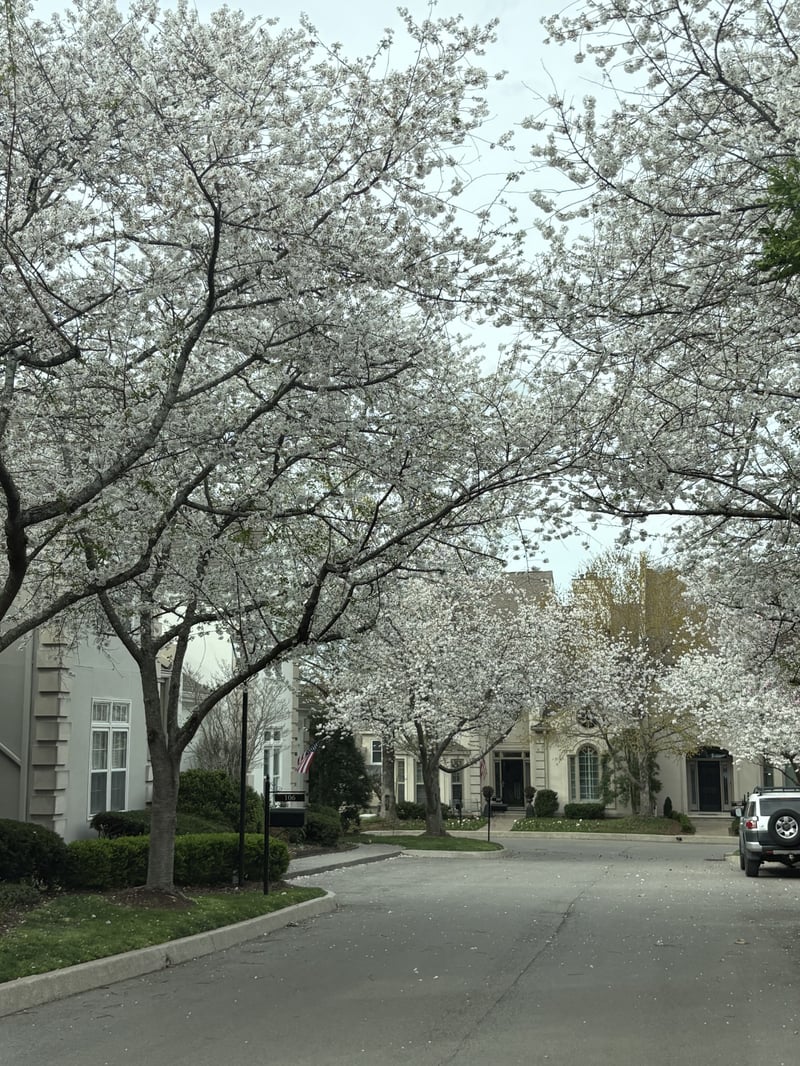 107 Brighton Close, Nashville, TN 37205