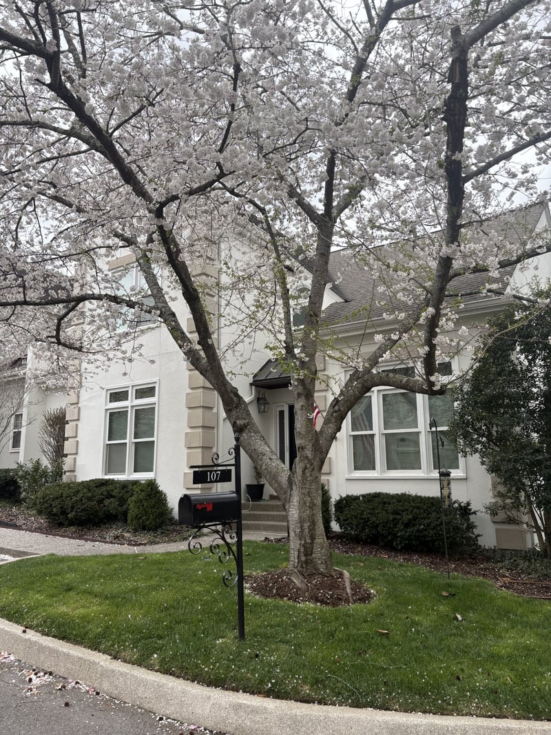 107 Brighton Close, Nashville, TN 37205