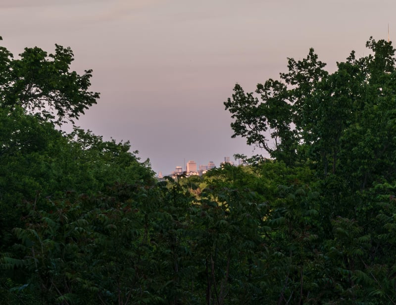 663 Hunters Trl, Nashville, TN 37209