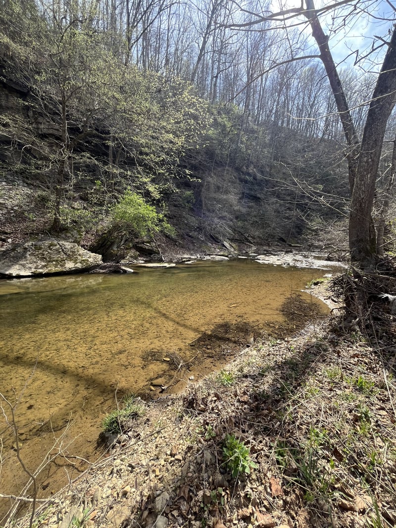 100 Henley Rd, Ashland City, TN 37015