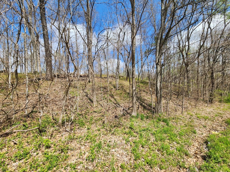 Gossett Rd, Ashland City, TN 37015