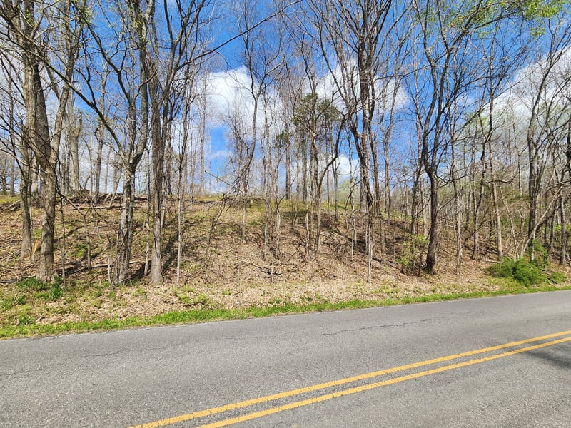 Gossett Rd, Ashland City, TN 37015