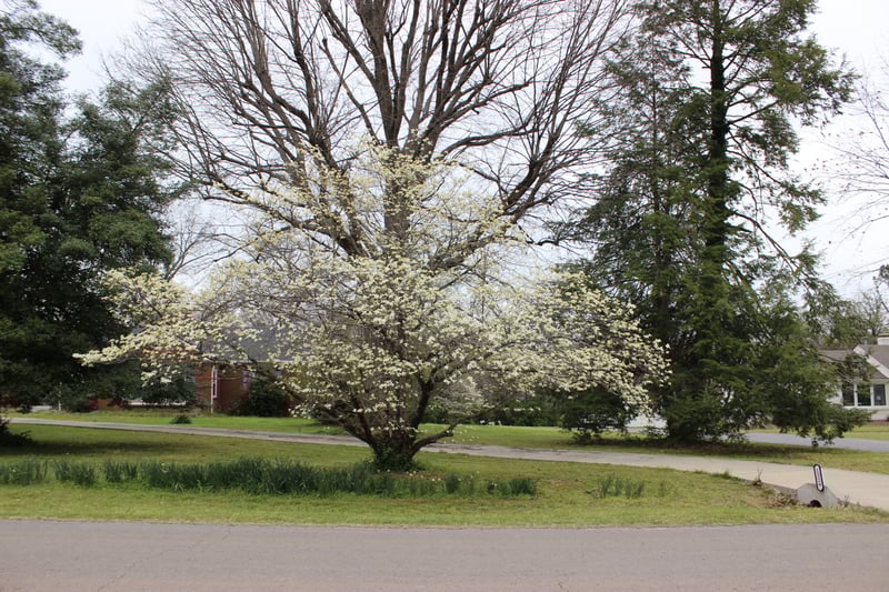 1329 Kenwood Dr, Nashville, TN 37216