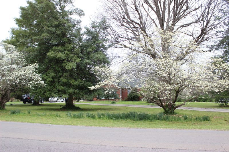 1329 Kenwood Dr, Nashville, TN 37216