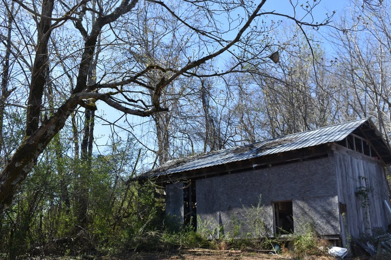42 Sykes Rd, Hickman, TN 38567