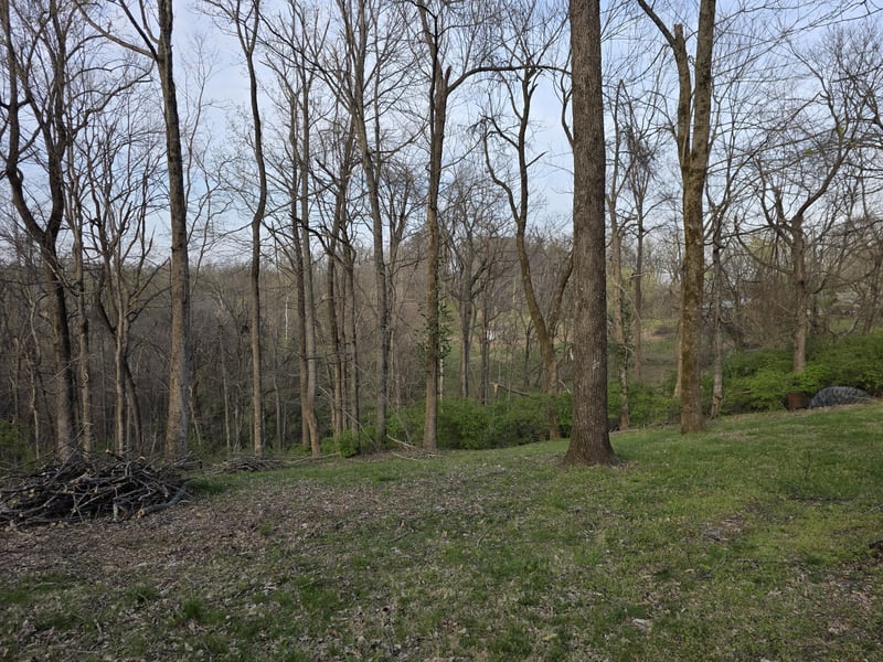 Griffith Rd, Nashville, TN 37221