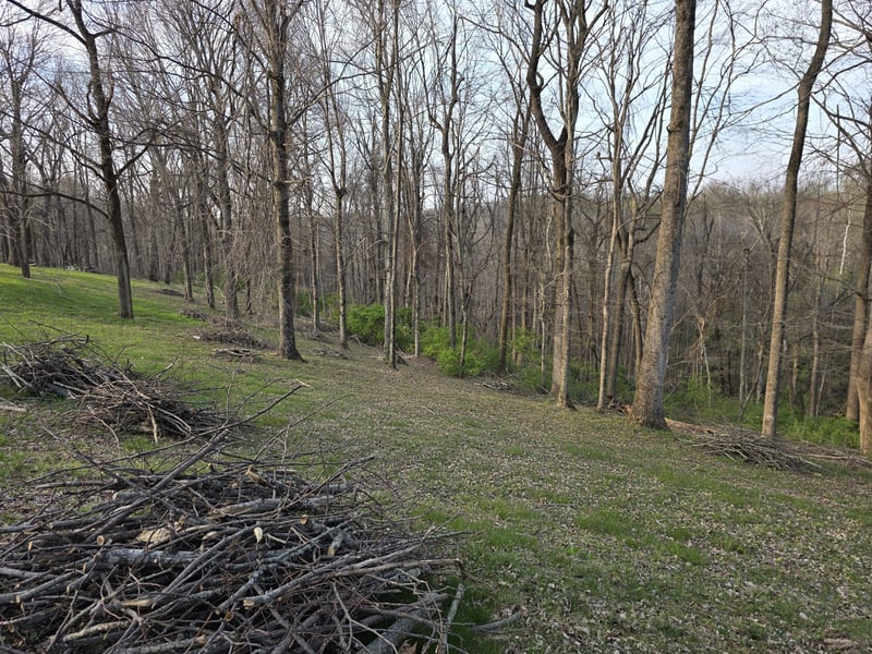 0 Griffith Rd, Nashville, TN 37221