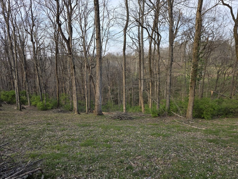 0 Griffith Rd, Nashville, TN 37221