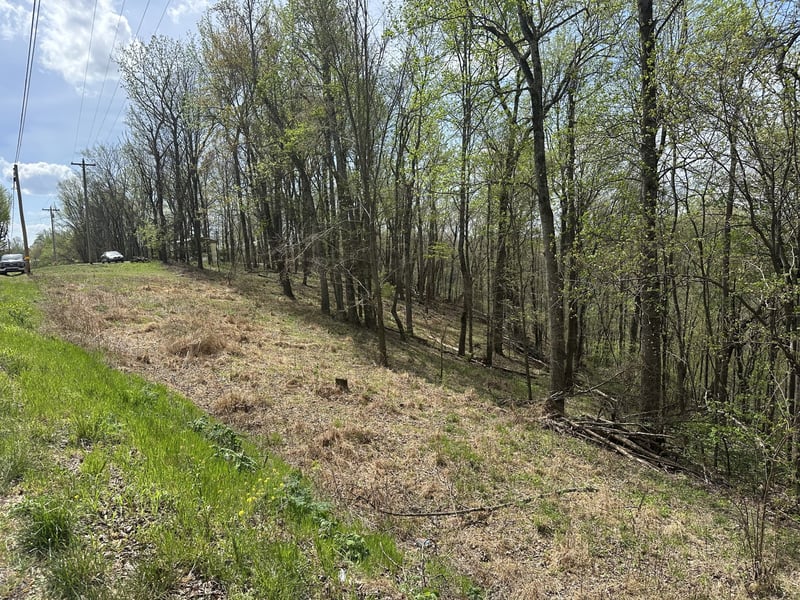 Maggart Rd Lot 4, Elmwood, TN 38560