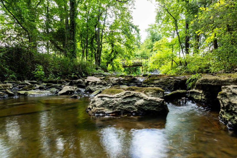 0 Horton Hwy Lot 4, College Grove, TN 37046