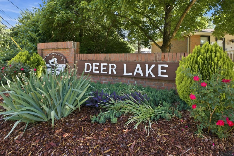 413 Deer Lake Dr, Nashville, TN 37221